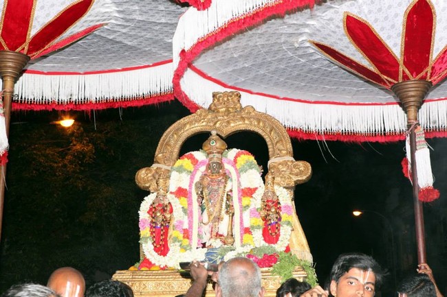 Thiruvallikeni THirukachi nambi THirunakshatra Utsavam 2014 -06