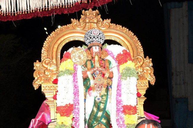 Thiruvallikeni THirukachi nambi THirunakshatra Utsavam 2014 -08