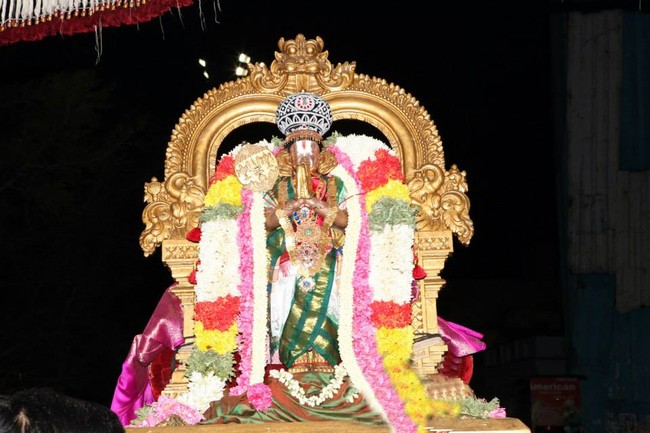 Thiruvallikeni THirukachi nambi THirunakshatra Utsavam 2014 -10