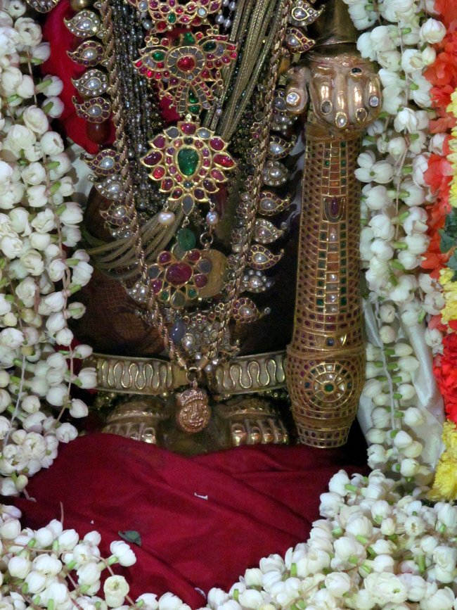 Thiruvallur Maasi Theppam 01-03-2014 05