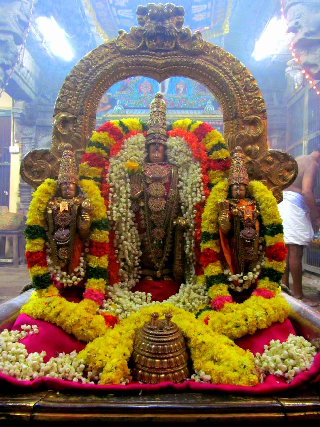 Thiruvallur Maasi Theppam 01-03-2014 06