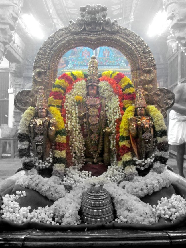 Thiruvallur Maasi Theppam 01-03-2014 07
