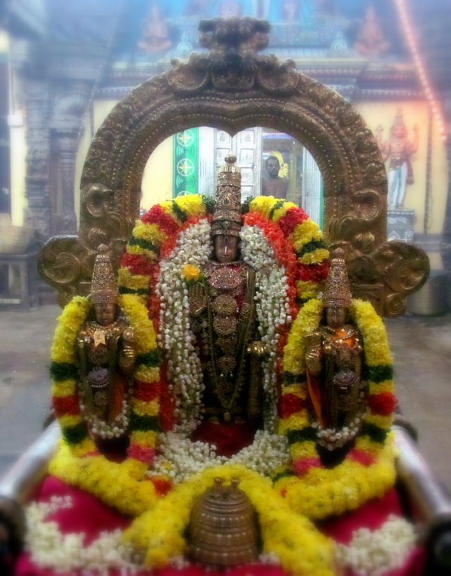 Thiruvallur Maasi Theppam 01-03-2014 10