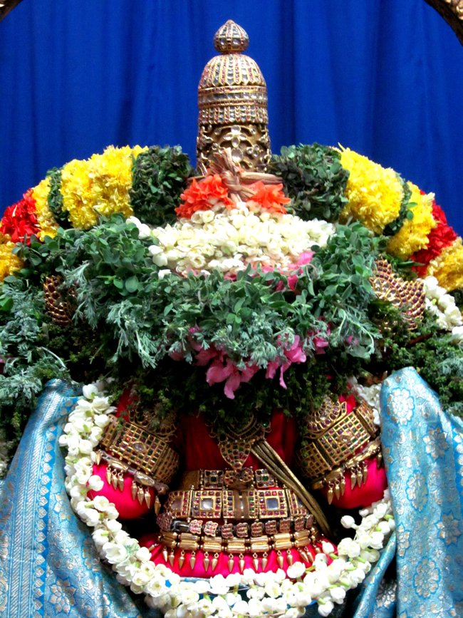 Thiruvallur Maasi Theppam 01-03-2014 13