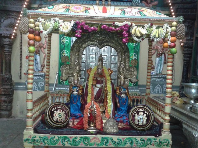 Thiruvallur Pallava Utsavam Ranganatha Sevai  2014--0001