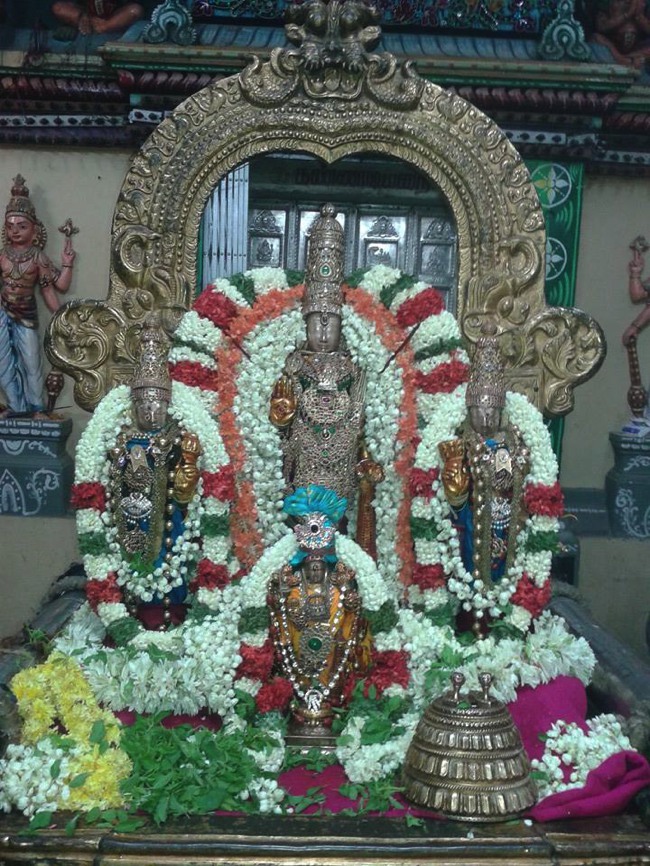Thiruvallur Pallava Utsavam Ranganatha Sevai  2014--0003