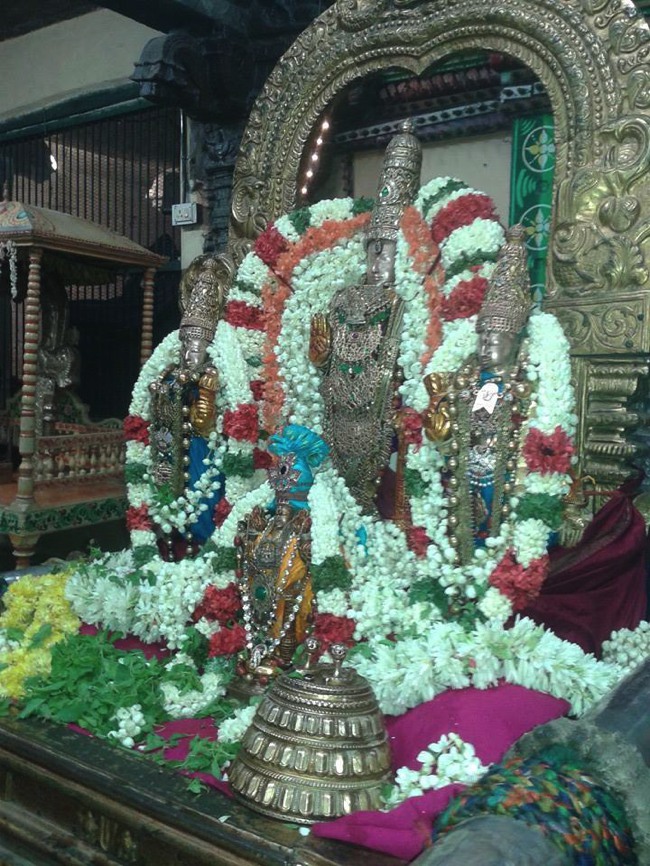 Thiruvallur Pallava Utsavam Ranganatha Sevai  2014--0004