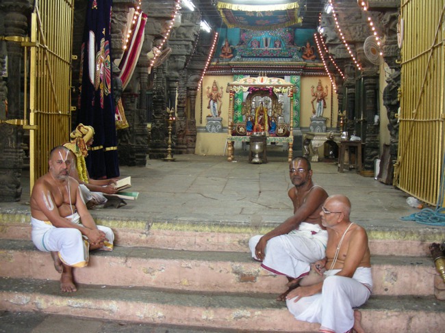 Thiruvallur Pallava Utsavam Ranganatha Sevai  2014--05
