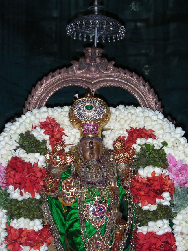 Thiruvallur Pallava Utsavam day 2 2014 -12