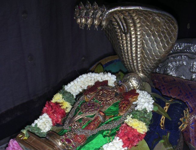 Thiruvallur Pallava Utsavam day 42014 -03