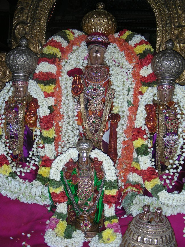 Thiruvallur Pallava Utsavam day 42014 -10