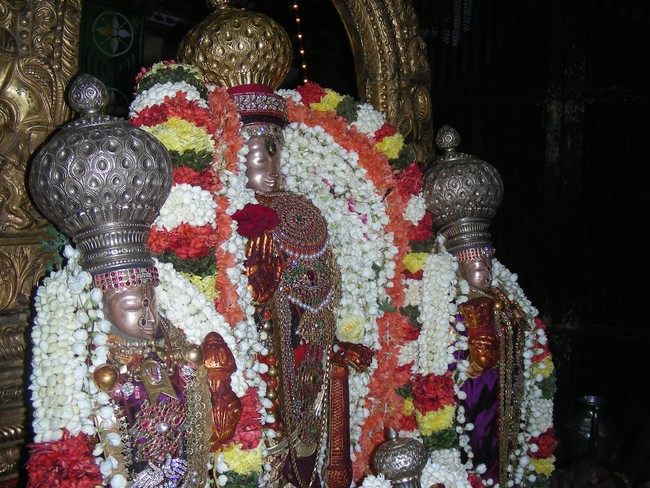 Thiruvallur Pallava Utsavam day 42014 -12