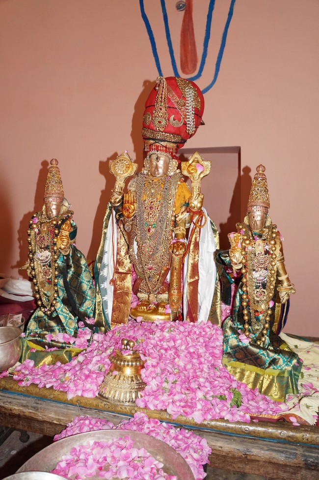 Thiruvallur THiruvural Utsavam at Putlur  2014 -20