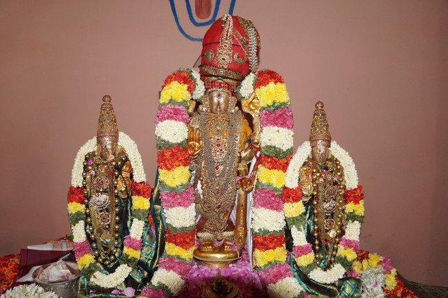 Thiruvallur THiruvural Utsavam at Putlur  2014 -25