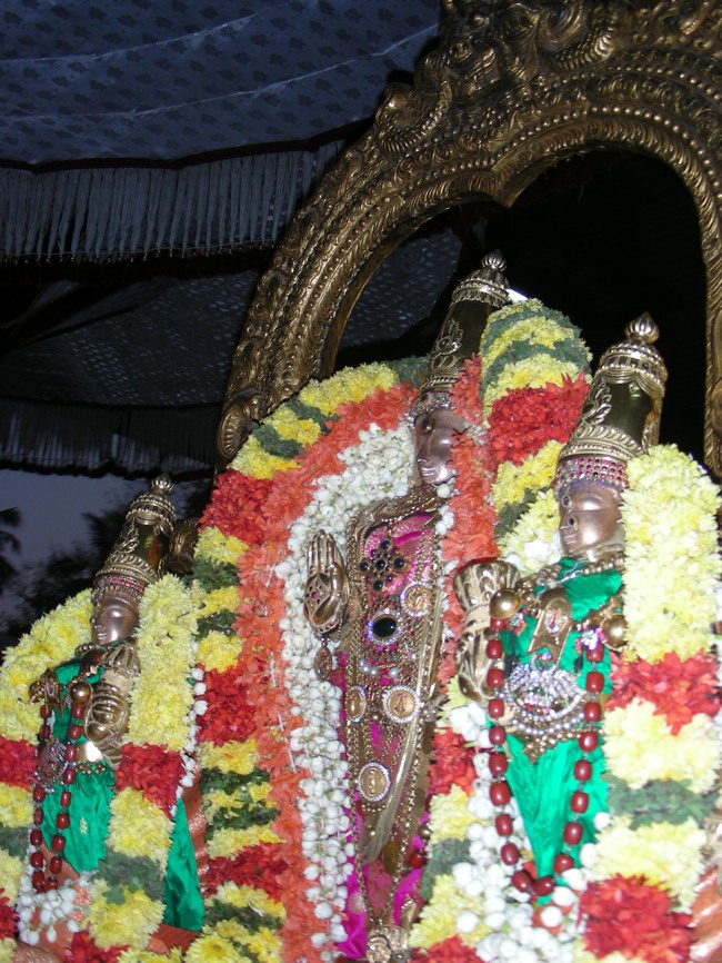 Thiruvallur Veeraraghava Perumal Masi Vellikizhami Sharadu pandigai 2014--05