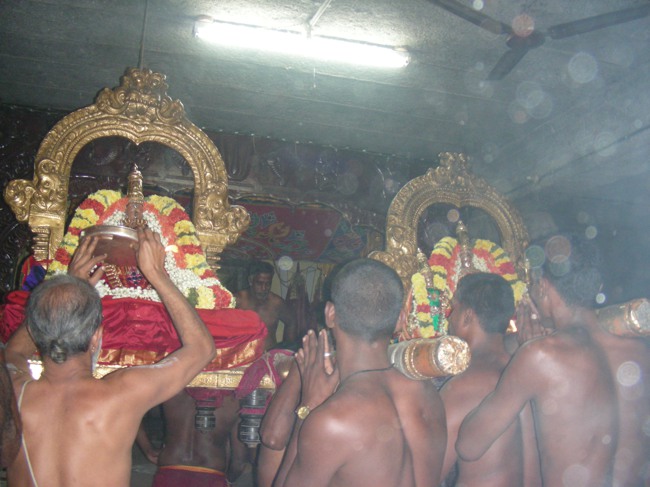 Thiruvallur Veeraraghava Perumal Masi Vellikizhami Sharadu pandigai 2014--11