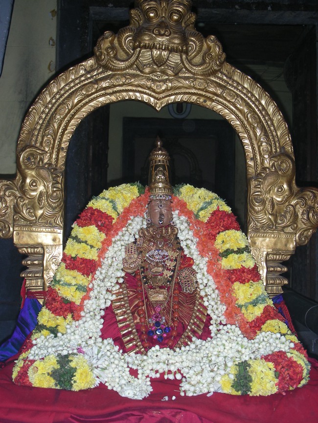 Thiruvallur Veeraraghava Perumal Masi Vellikizhami Sharadu pandigai 2014--13