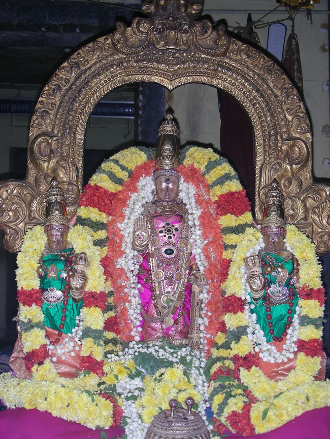 Thiruvallur Veeraraghava Perumal Masi Vellikizhami Sharadu pandigai 2014--16
