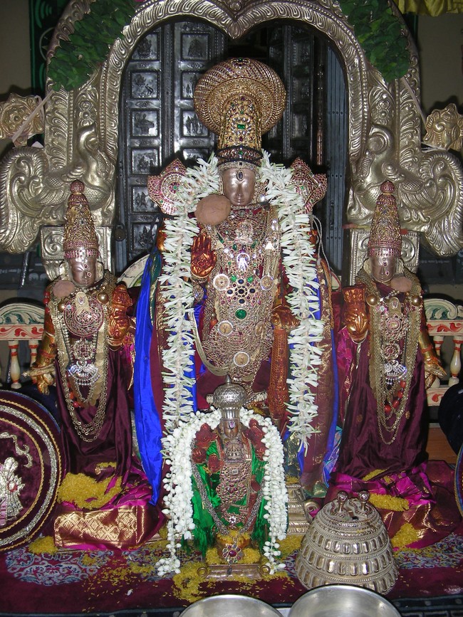 Thiruvallur Veeraraghava Perumal Temple Pallava Utsavam day 5  2014 -08