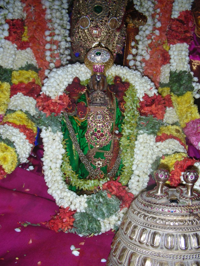 Thiruvallur Veeraraghava Perumal Temple Pallava Utsavam day 5  2014 -15