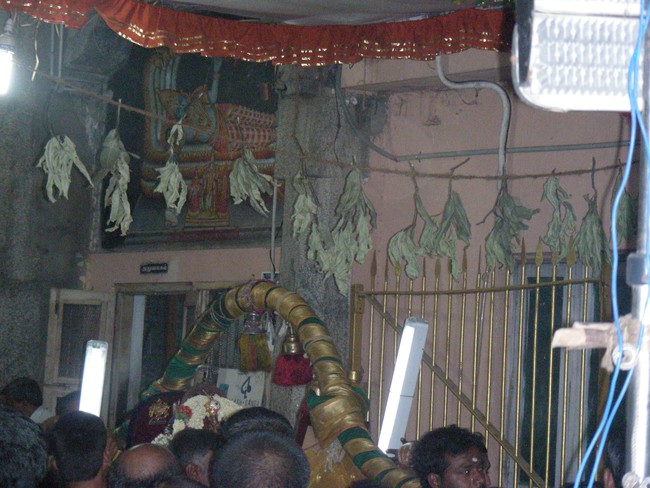 Thiruvallur Veeraraghava Perumal Temple Pallava Utsavam day 5  2014 -25