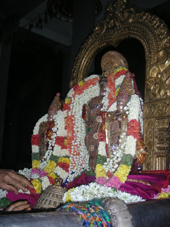 Thiruvallur Veeraraghava Perumal Temple Pallava Utsavam day 5  2014 -29