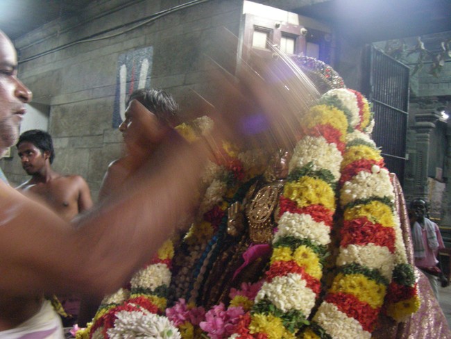 Thiruvallur Veeraraghava Perumal Temple Pallava Utsavam day 5  2014 -35