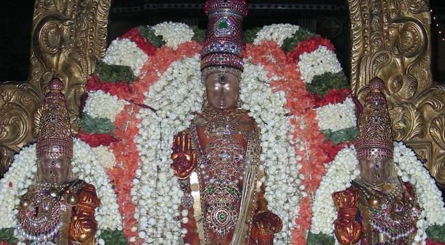 Thiruvallur Veeraraghava Perumal Temple pallava utsavam thirunakshatra Purappadu Srirangam 2014 -01