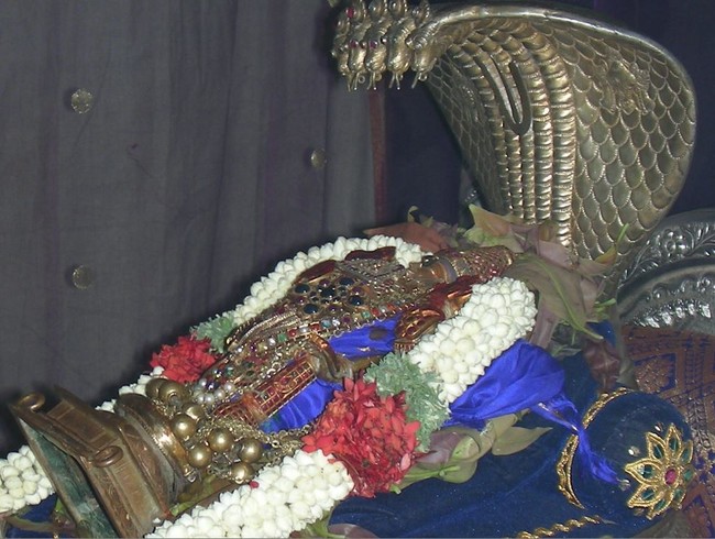 Thiruvallur Veeraraghava Perumal Temple pallava utsavam thirunakshatra Purappadu Srirangam 2014 -02