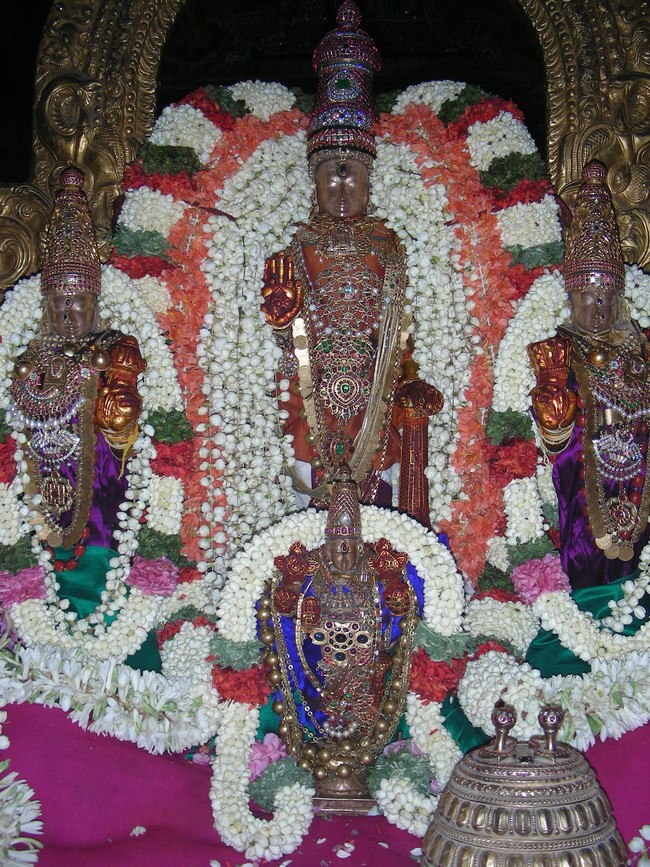Thiruvallur Veeraraghava Perumal Temple pallava utsavam thirunakshatra Purappadu Srirangam 2014 -11