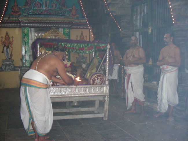 Thiruvallur Veeraraghava Perumal Temple pallava utsavam thirunakshatra Purappadu Srirangam 2014 -14