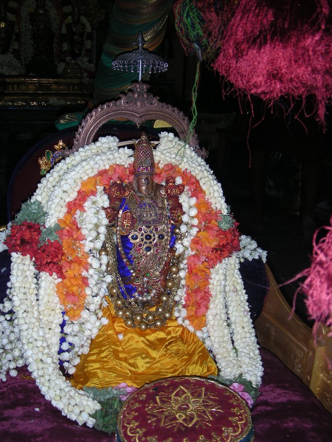 Thiruvallur Veeraraghava Perumal Temple pallava utsavam thirunakshatra Purappadu Srirangam 2014 -16