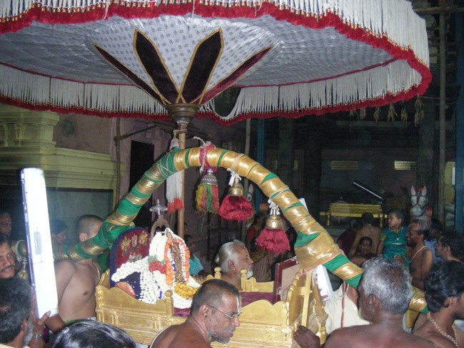 Thiruvallur Veeraraghava Perumal Temple pallava utsavam thirunakshatra Purappadu Srirangam 2014 -21