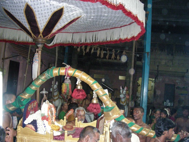 Thiruvallur Veeraraghava Perumal Temple pallava utsavam thirunakshatra Purappadu Srirangam 2014 -22