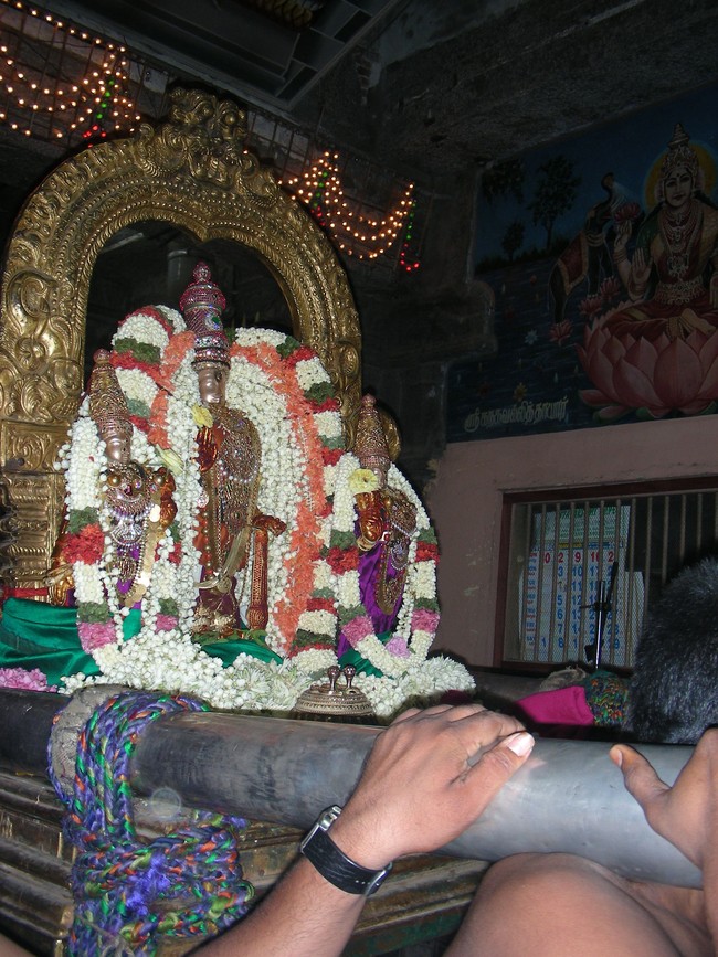Thiruvallur Veeraraghava Perumal Temple pallava utsavam thirunakshatra Purappadu Srirangam 2014 -23