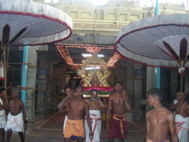 Thiruvallur Vellikizhamai Thayar Purappadu 2014 -02