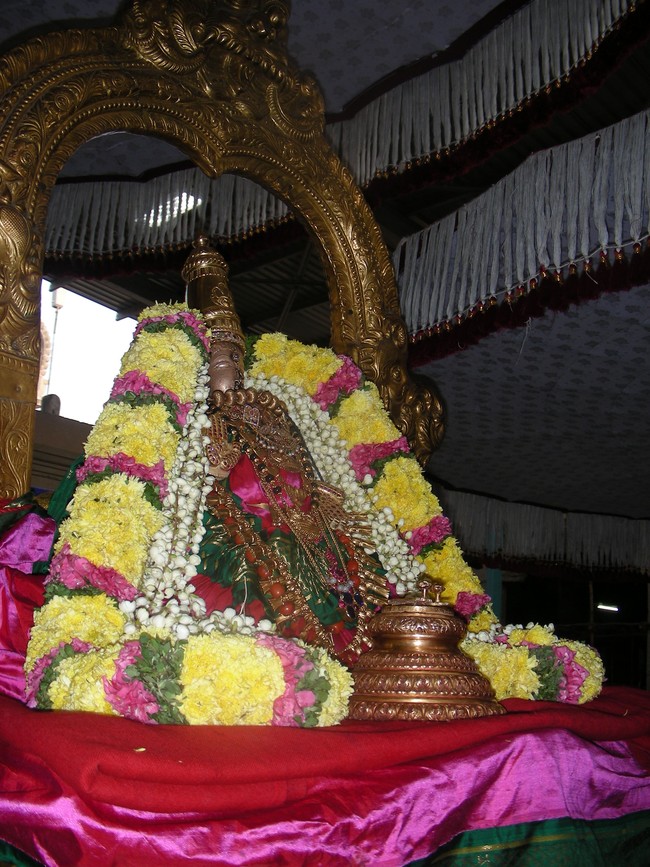 Thiruvallur Vellikizhamai Thayar Purappadu 2014 -03