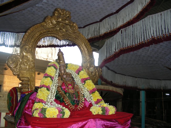 Thiruvallur Vellikizhamai Thayar Purappadu 2014 -04