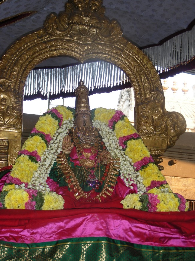 Thiruvallur Vellikizhamai Thayar Purappadu 2014 -05