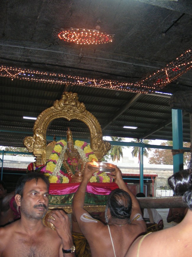 Thiruvallur Vellikizhamai Thayar Purappadu 2014 -07