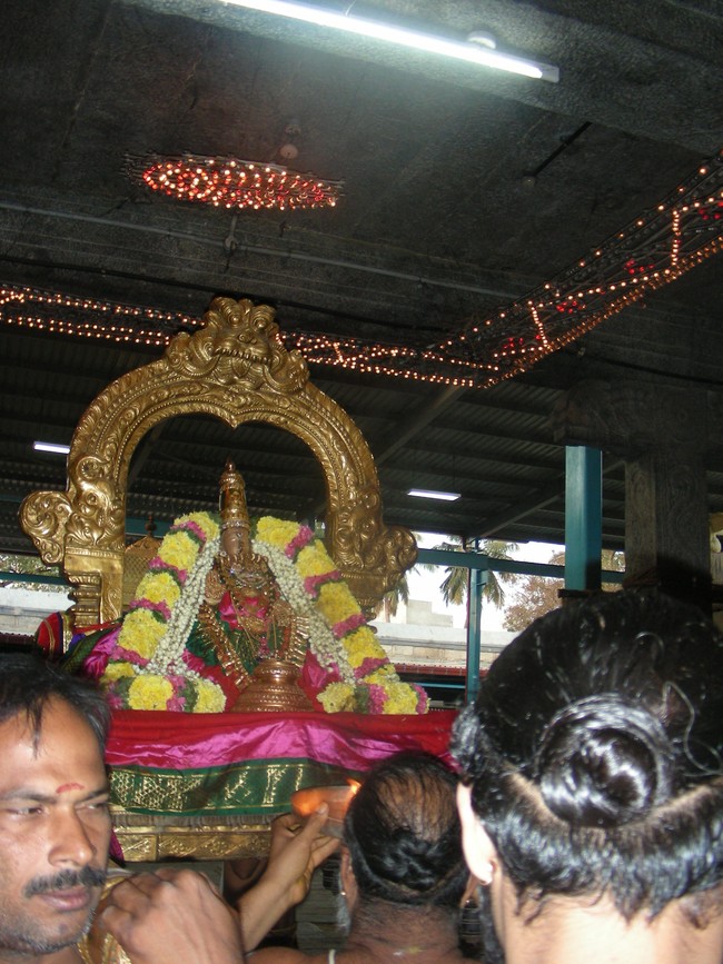 Thiruvallur Vellikizhamai Thayar Purappadu 2014 -08