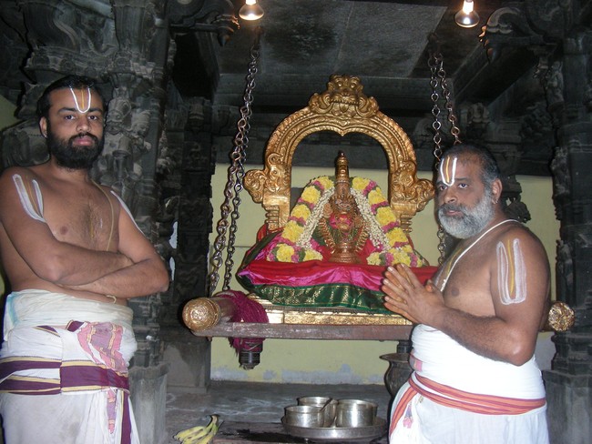 Thiruvallur Vellikizhamai Thayar Purappadu 2014 -11