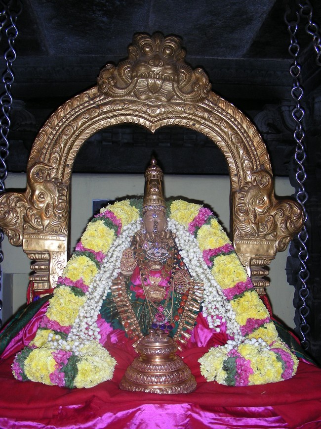 Thiruvallur Vellikizhamai Thayar Purappadu 2014 -13