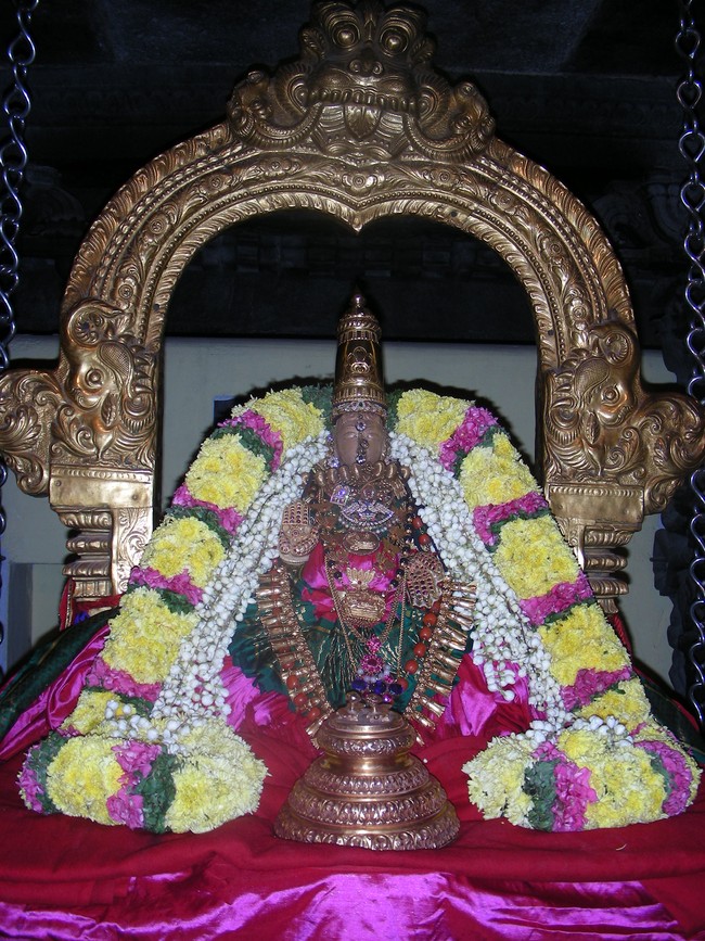 Thiruvallur Vellikizhamai Thayar Purappadu 2014 -14