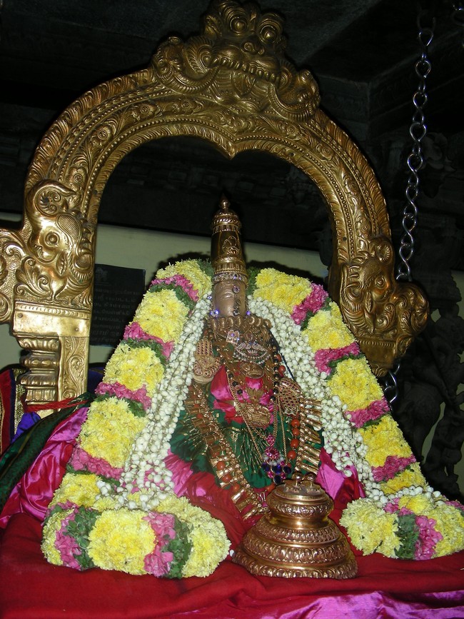 Thiruvallur Vellikizhamai Thayar Purappadu 2014 -16