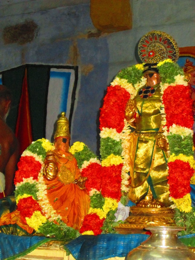 Thiruvellarai Brahmotsavam Garudas sevai 2014--00