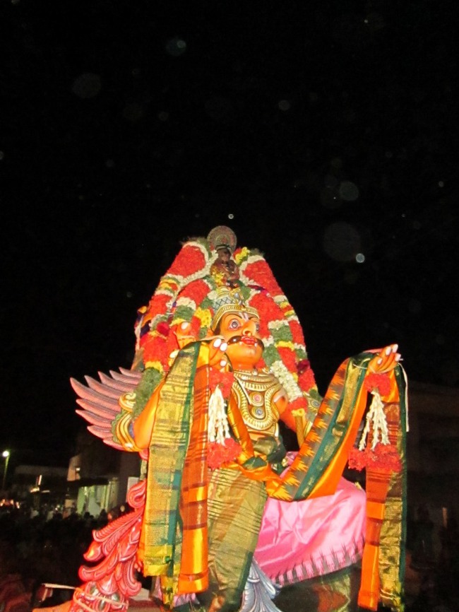 Thiruvellarai Brahmotsavam Garudas sevai 2014--0014