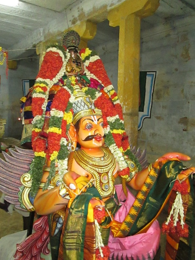 Thiruvellarai Brahmotsavam Garudas sevai 2014--0020