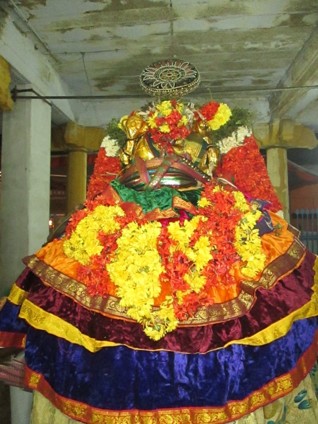 Thiruvellarai Brahmotsavam Garudas sevai 2014--0022
