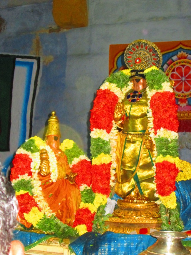 Thiruvellarai Brahmotsavam Garudas sevai 2014--01